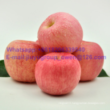 Shandong Origin New Crop FUJI Apple Prompt Shipment